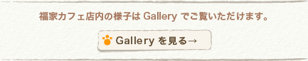 Photo Gallery
